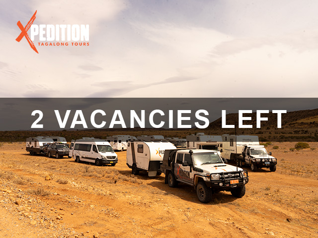 Thumbnail for Flinders Ranges Safari 2026